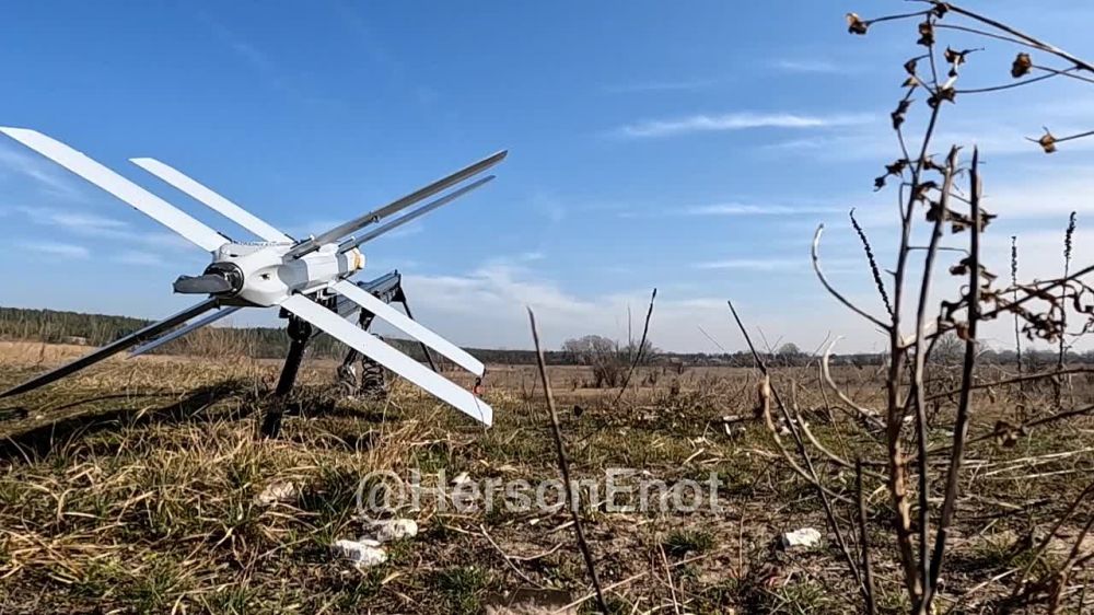 ���� �� �������: �������� ���! ����� ����� �� ��� ���, ��������, ������