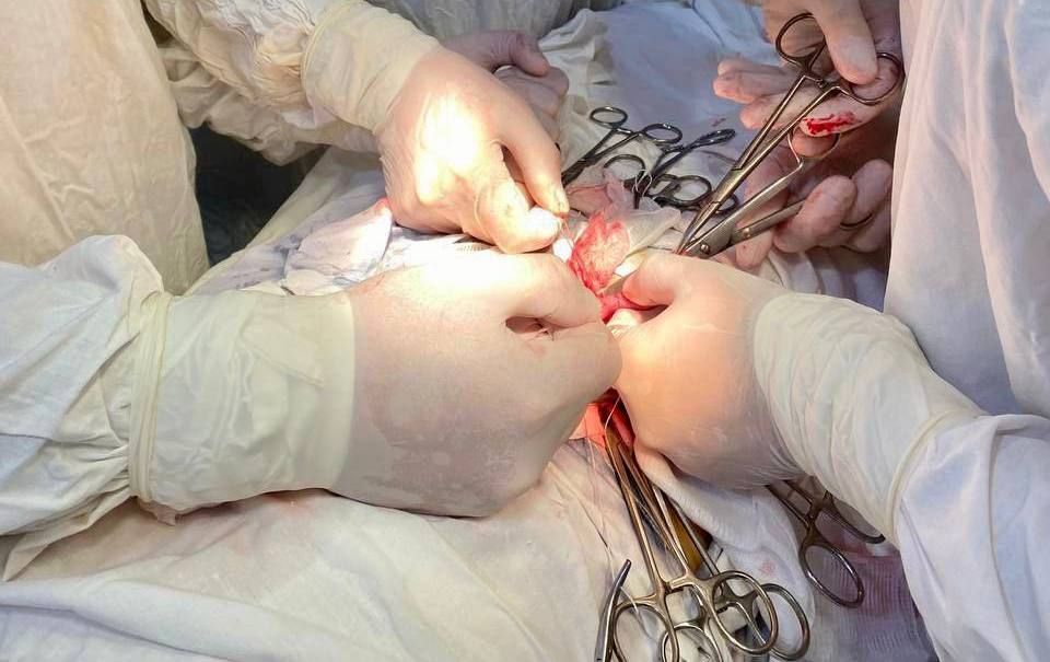 �������� ���������� ������� �������� �� ������� � ���� �������� �� ����� ��������, ����������� ������� �����-�������� ������ ���� � ��� ��� �������� ������ ��������� ���