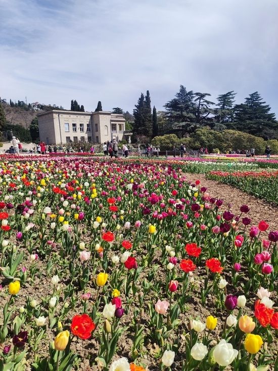 ��������� ������������ ��� ����� ��������� � �������� ������, ������� � ���������� �������