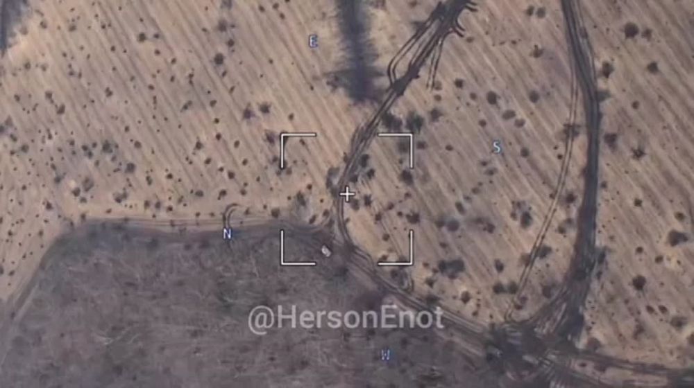 ���� �� �������: ���������� ������� ����� �����������