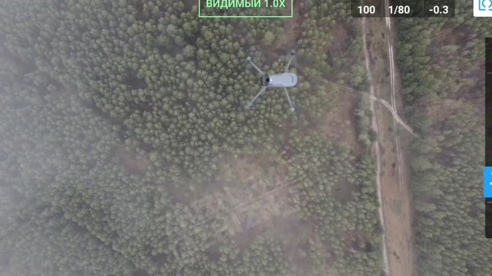 ��i����i� ������� �� ����