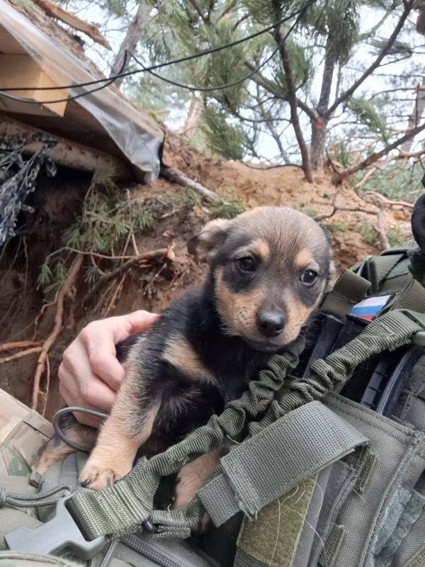 � ���������� ������ �� ���������� ����������� �������� ����� ����