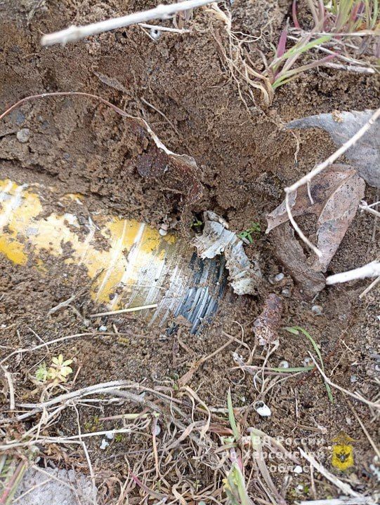 � ����� �������� ���������� ������� ���������� ���������� ���� ���