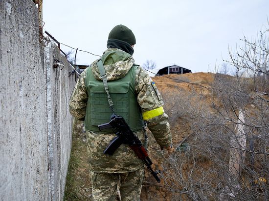 �����, ��������� ����: ������ ������� ������������ �� ����������� ���������