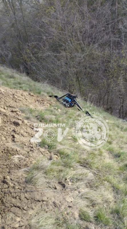 ���. �������. ���� ��������� ����-��������������