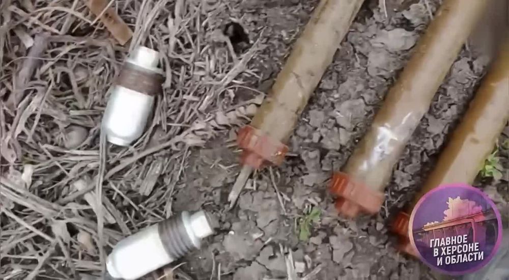 � ���������� ������� ����������� ���������� ������� �� ��� � �������