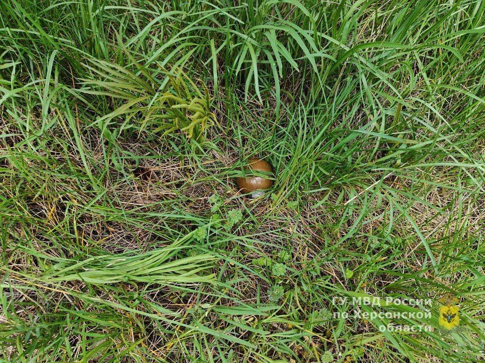 ���������� ������� � ����������� � ���������������� �� ���������� 5 ������