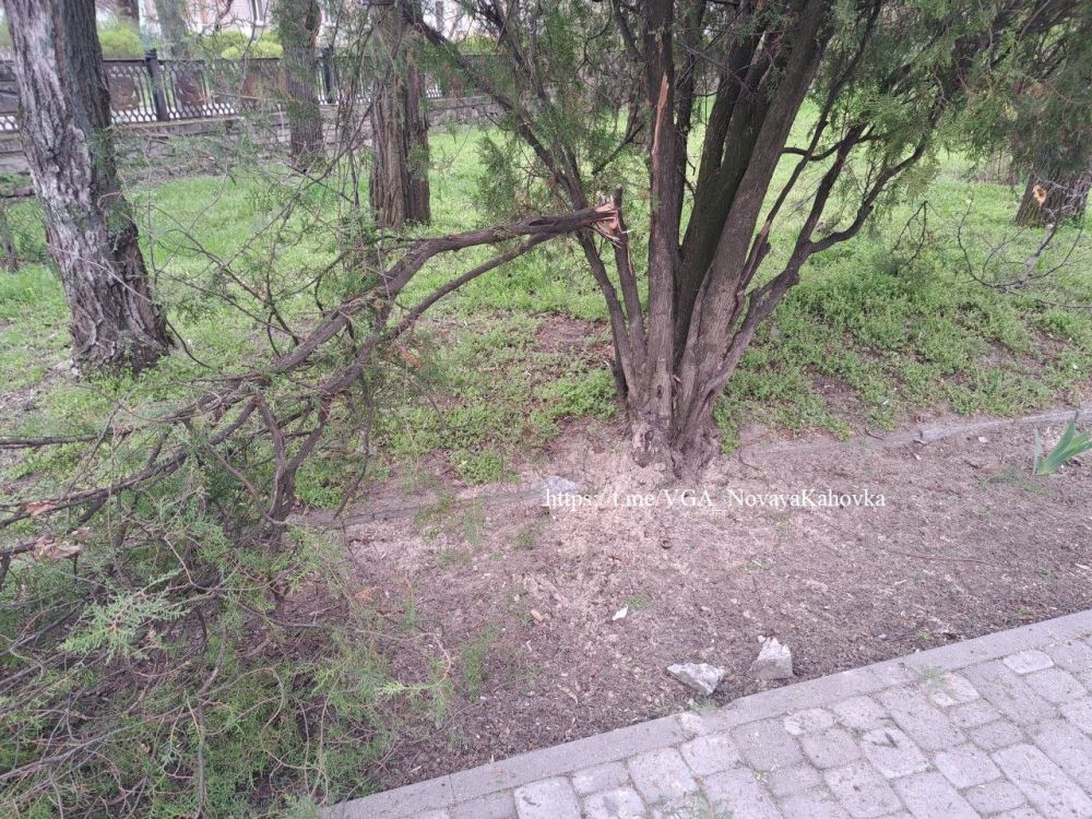 ���������� ������� ���������� ��������������� ������ ��������� ����� �������