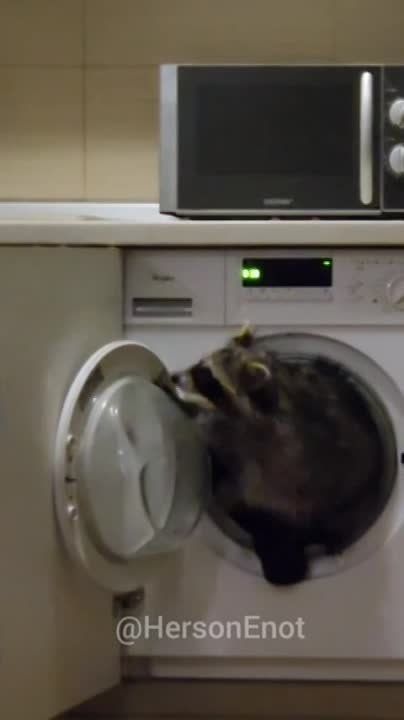 ���� �� �������: ������� � ������� ����������� � �����������