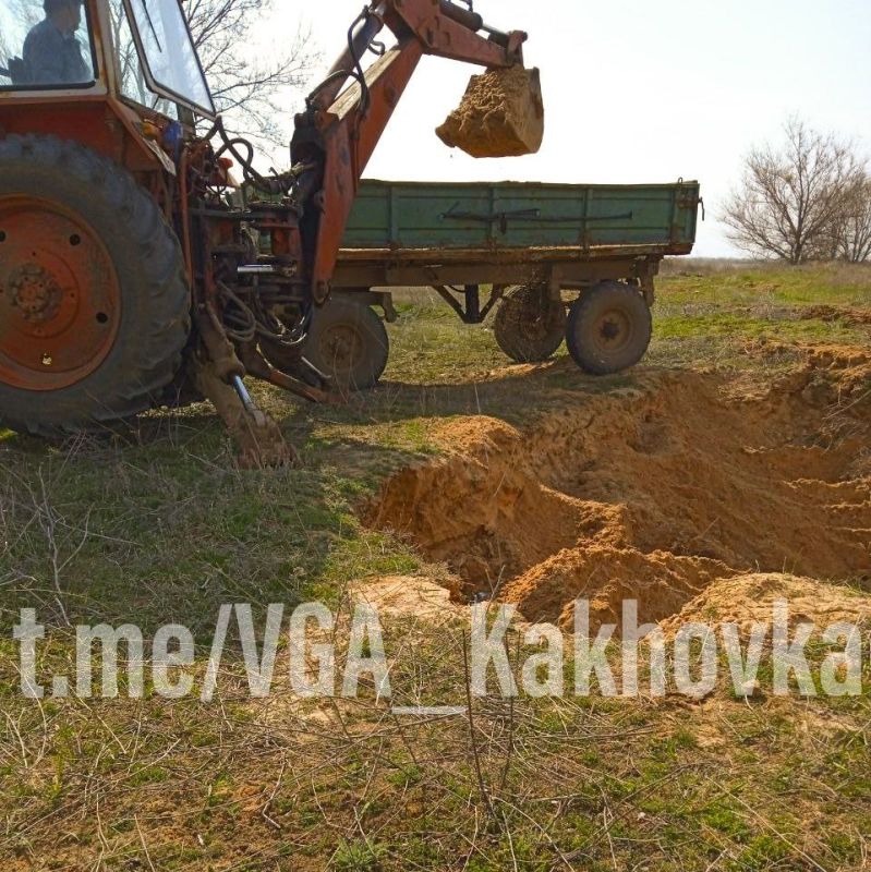 ���������� ������������ ����������� �����������