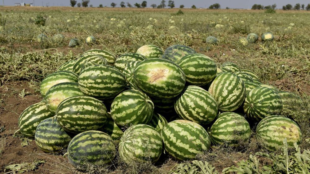 � ���������� ������� ��������� ������� �����������