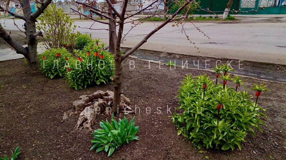 �������� ��������. �������� �� ��������� ���� � ��������� ���������� �������� ���� �������� ������ � ����-������ �������� ���������� ���������� ������, � ������� �������� ����������, ��� ��� ������ ����� �� ������ �������� ������ ������