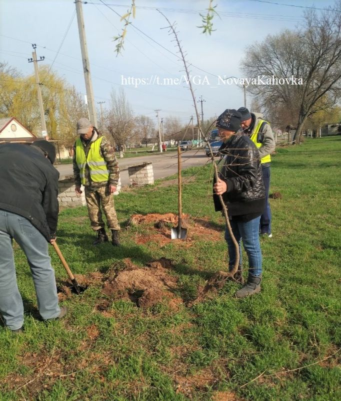 � ������������� ��������� ������ �������� �������� �� ��������������� ����������