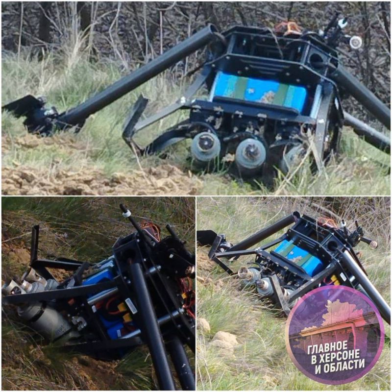 ���������� ����������� �������� � ��� ���������� ����� ����� ���� �����