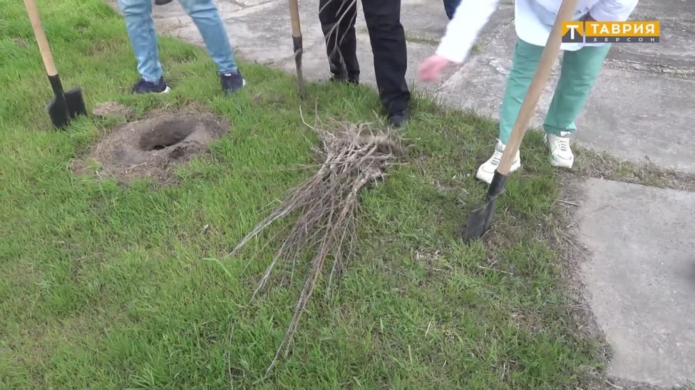 � ���������� ������� ���������� ������������� ����� "��� ������"