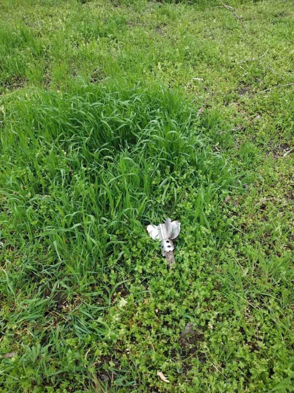 � ����� ������� ������ �����