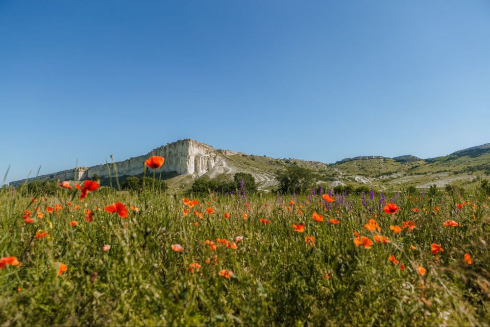 ���������� ��� ������ ����� � �����