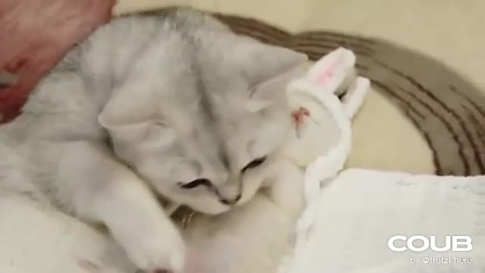 ������� ������, ������! � ������ ���� ���� �������