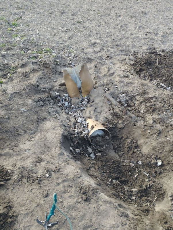 � ���������� ������� ����������� � �������� ���������� �������������� ������� ������