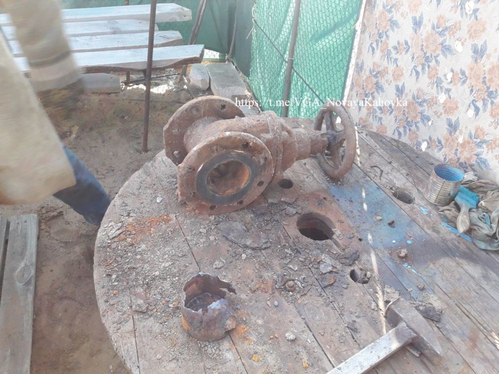 ��������� �������������� ���������� ���������� ������������� ������������ � ���, ����� � ���������������� ������ �����������, � �����������