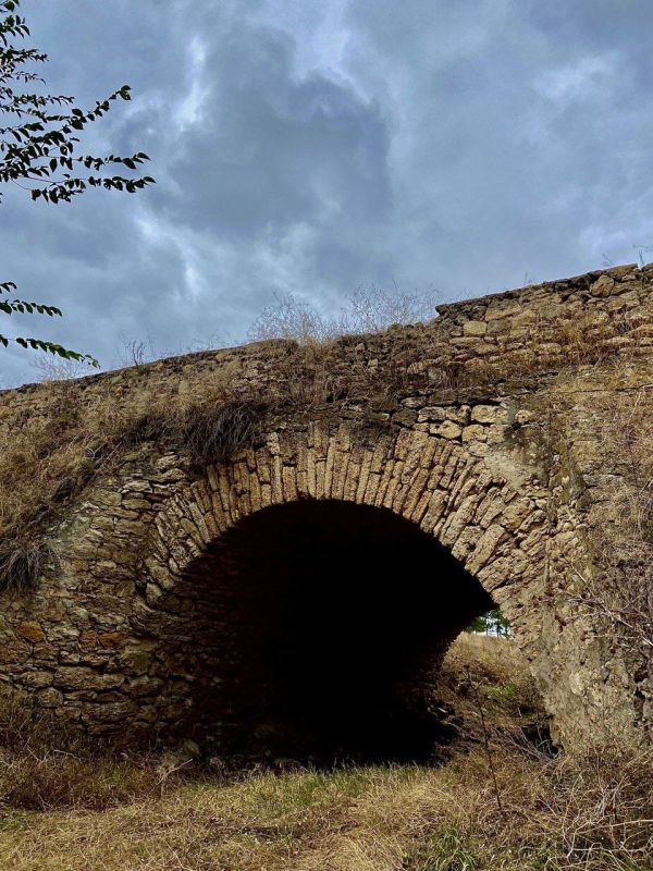 �� ����� ������ �������