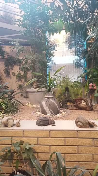 ��������, ��� �������� ��������� ��� �������