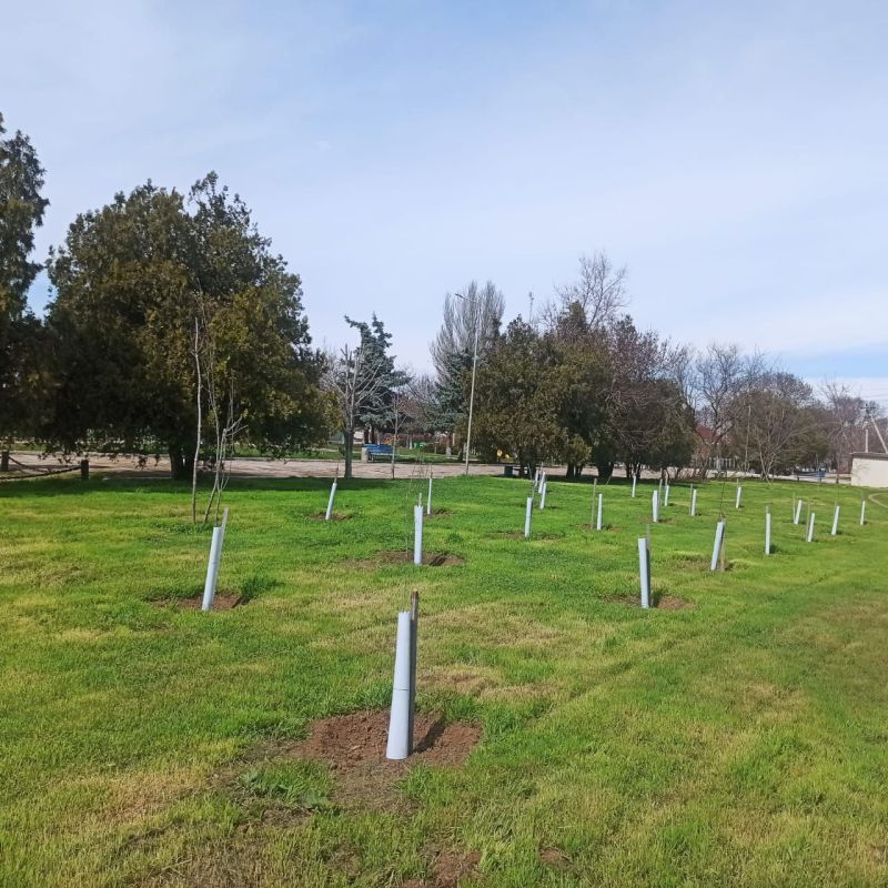 ����� - ������ ����������