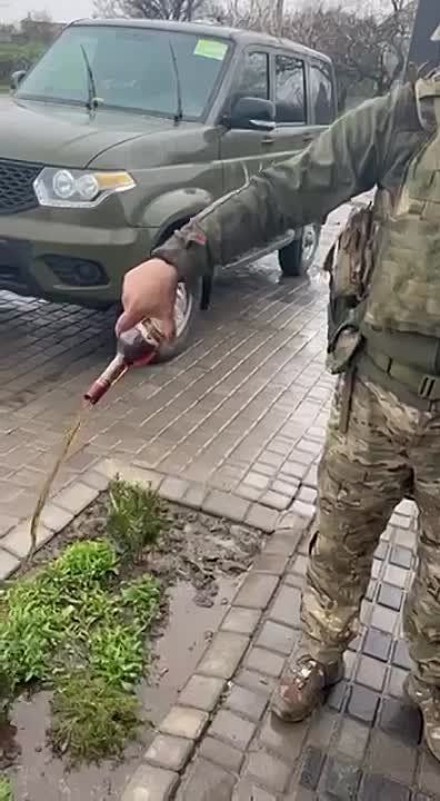 � ��� ��� ��������� � �������� ��������� � ����� �������