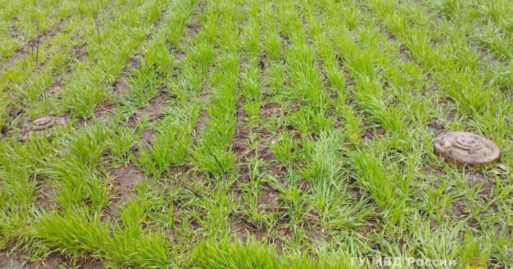 ����������� ����������� ���� � ���������� �������