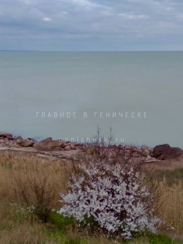 ����� ���� �� ������ ��������� ����