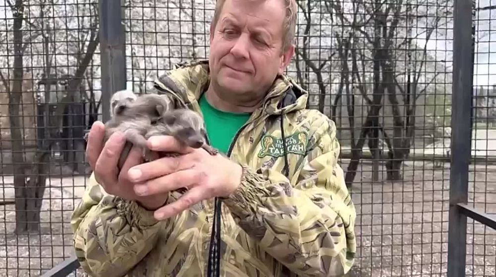 � ����������� � ���� �� ����������� �������� ������ ��������� ��������� - ��� ������