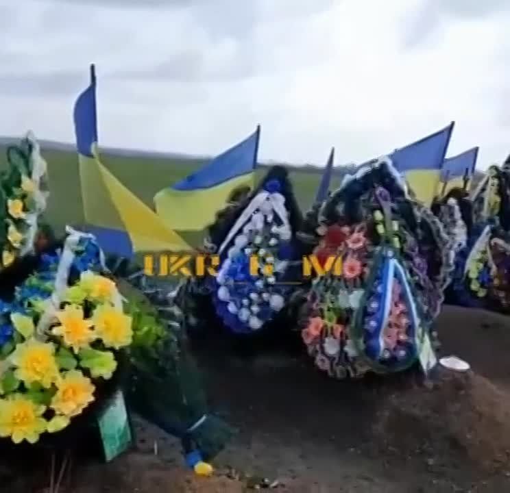 ����� ������� ������ �� ���� �������