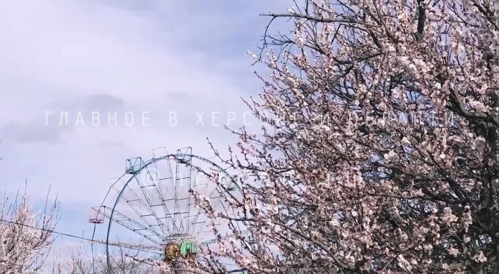 ����� ��������� � ����� ����� �����