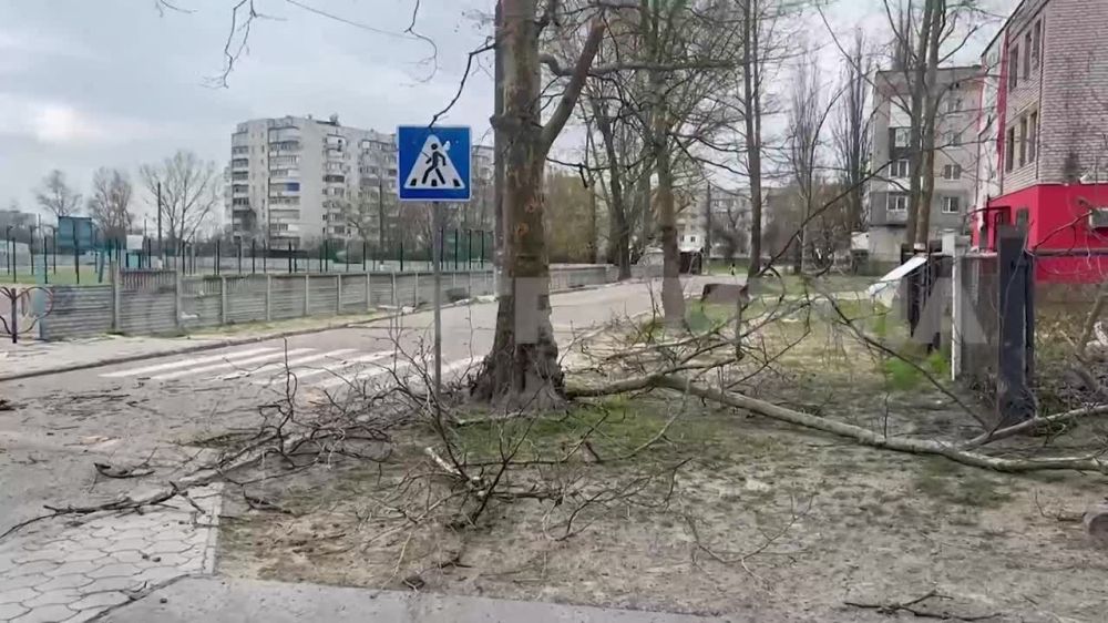 ����� �������� ���� ����� � ���������� �������