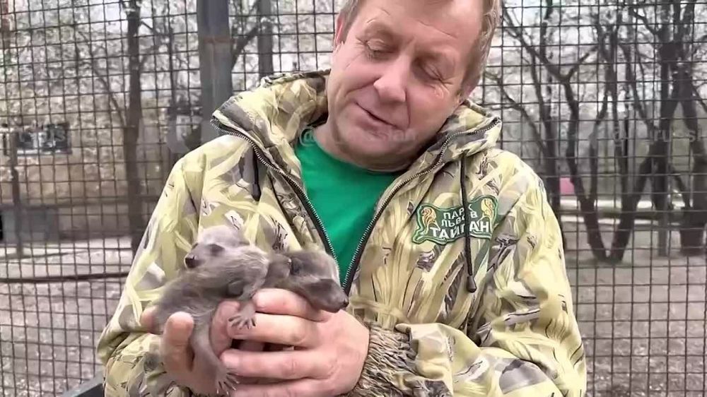 � ������, �������������� � ���� �� �������, �������� ������