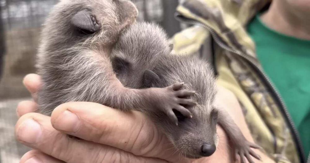 � ����� � ����������� �� ������� ������ �������� ������� ���������