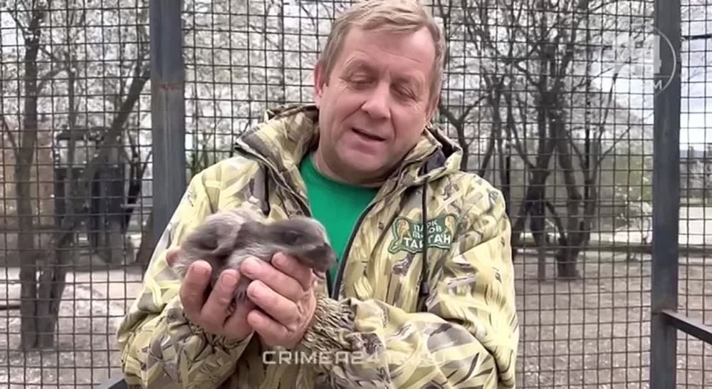 � ����� � �������������� �� ������� ������ ��������� ��������� � ��� ������