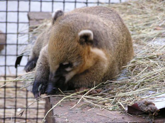 � ������, ��������� �� ����������� ��������, � ����� ��������� ��������