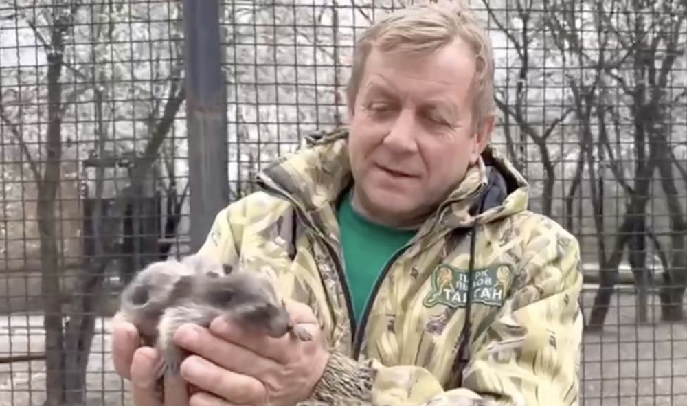 � ����������� � ���� �� ����������� �������� ������ ��������� ��������� — ��� ������