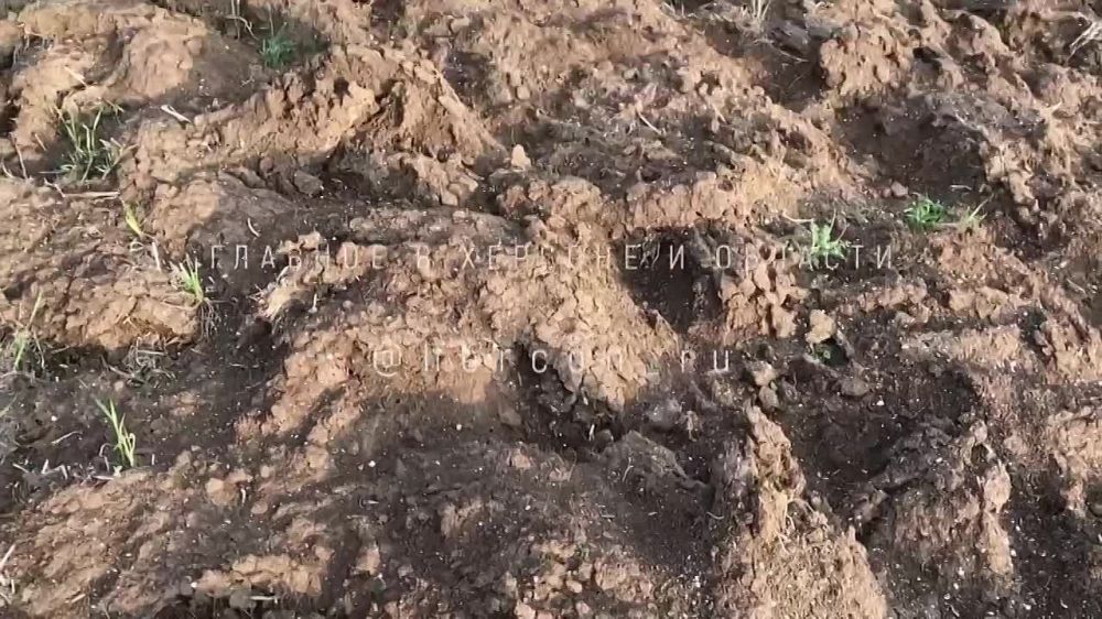 ���������� �������� ����������