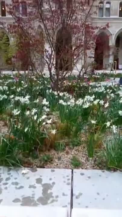 ���� �� �������: ������� �������� �� ����� ������������� ����������� �� ����� ����