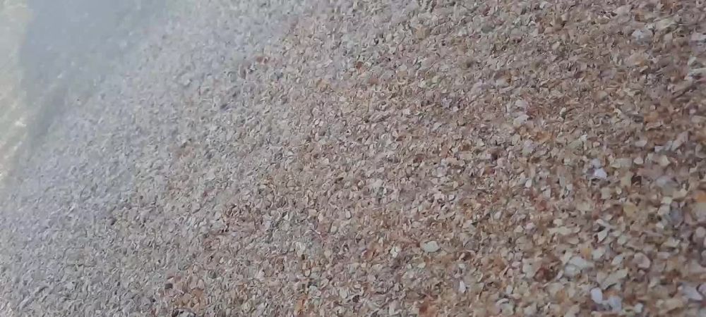 ������� ������� ���������� �� ��������