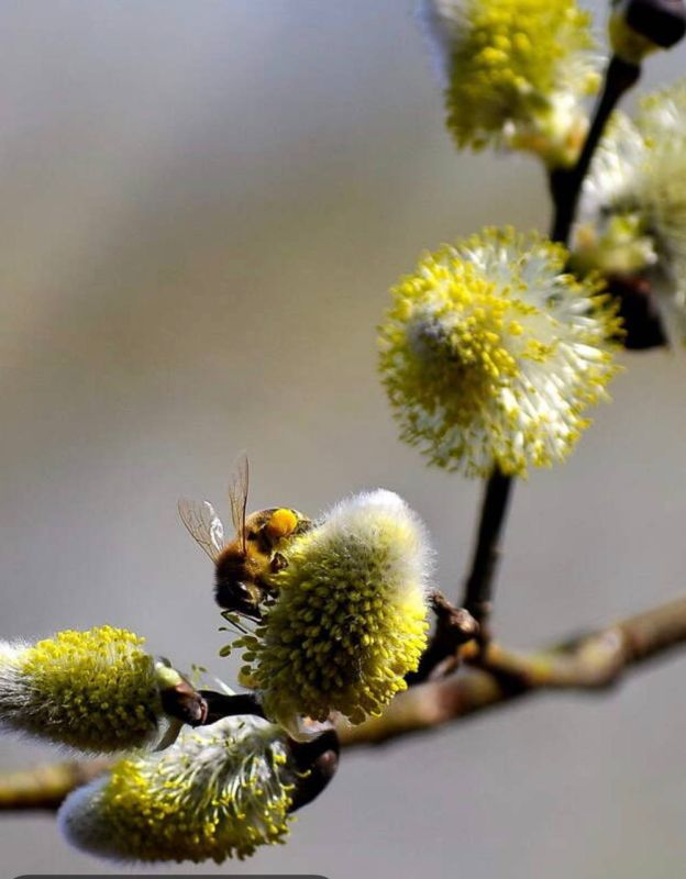 ����� � ��� �����������, ������� ����� ������� ���� ����, ����� �������� ��� ������ ���. ������ �������������� � ��������������, ������������� ����� � ������ � ����� � �����