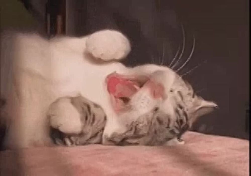 �������� ������������� �������� �� ������