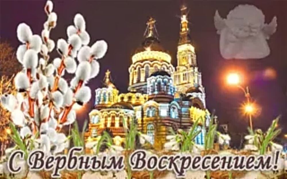 ������ ���, ����� ������� ���� �� ������� � ������ ���-�� ������� � ������