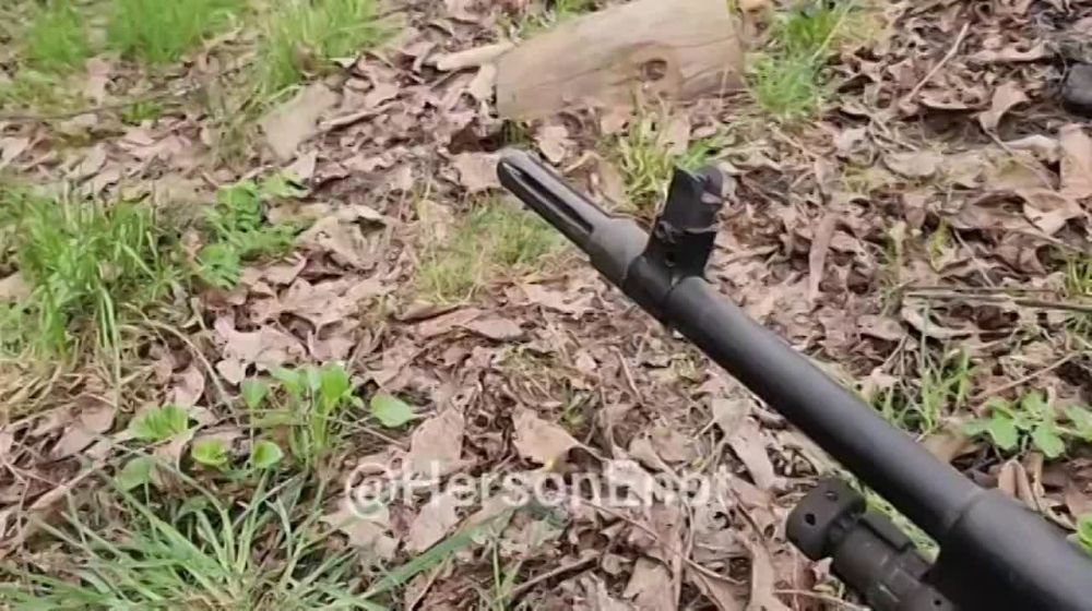 ���� �� �������: ���� ������������ ������ �������� ���� ���������� � �������� � ���������� ����