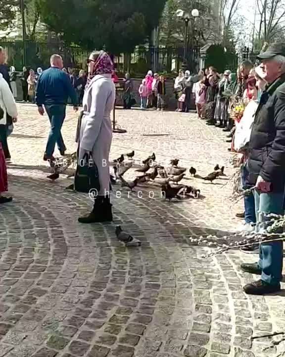 ������� ����������� � �����������