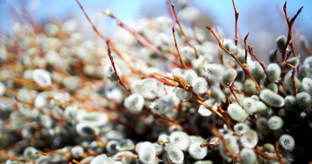 ������ ��������� ������� ���������� ������� � ���������� ����� �������� � ���������