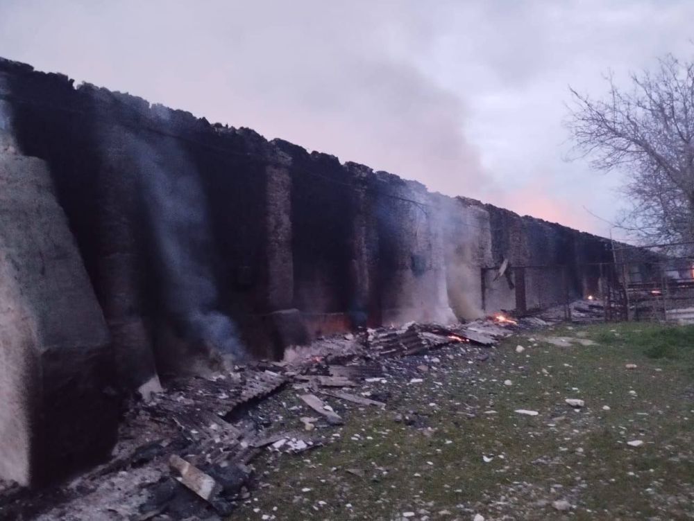 ����� ������������ ��� � ���������, ������� ��� ���������