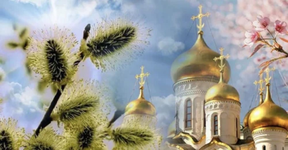 ������������ �������� ������� �������� ������� �������� — ������� �����������